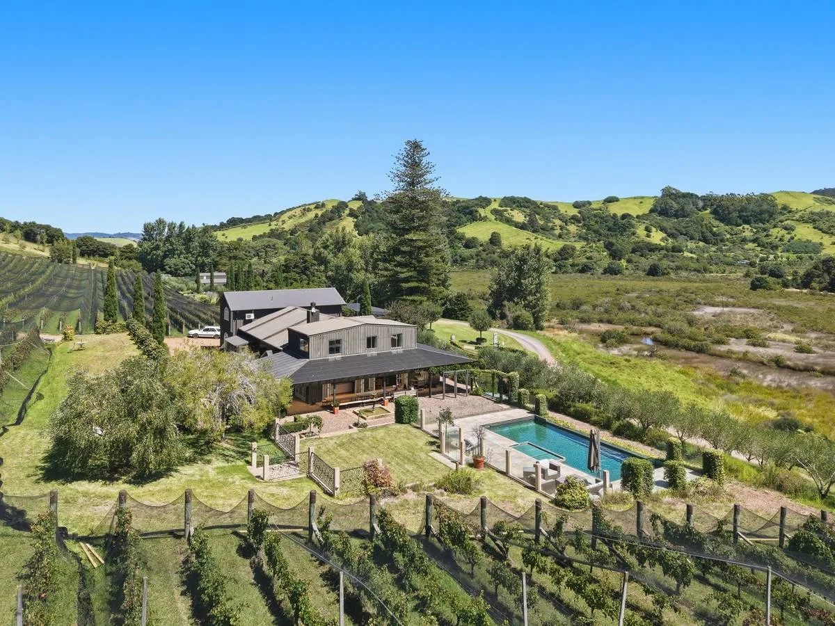 Estate & vineyard, Pool and grounds