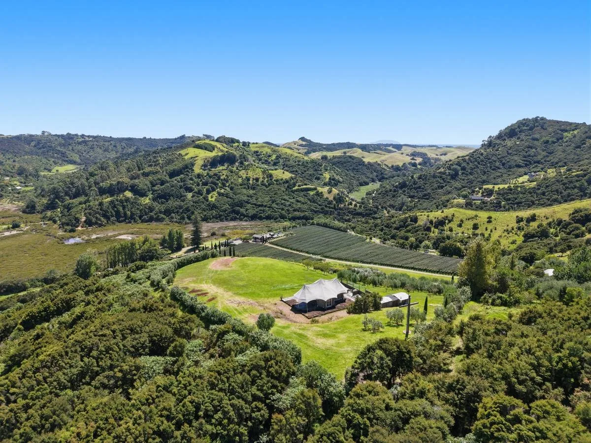 Aerial view of an undeveloped New Zealand valley site, approach road and access visible