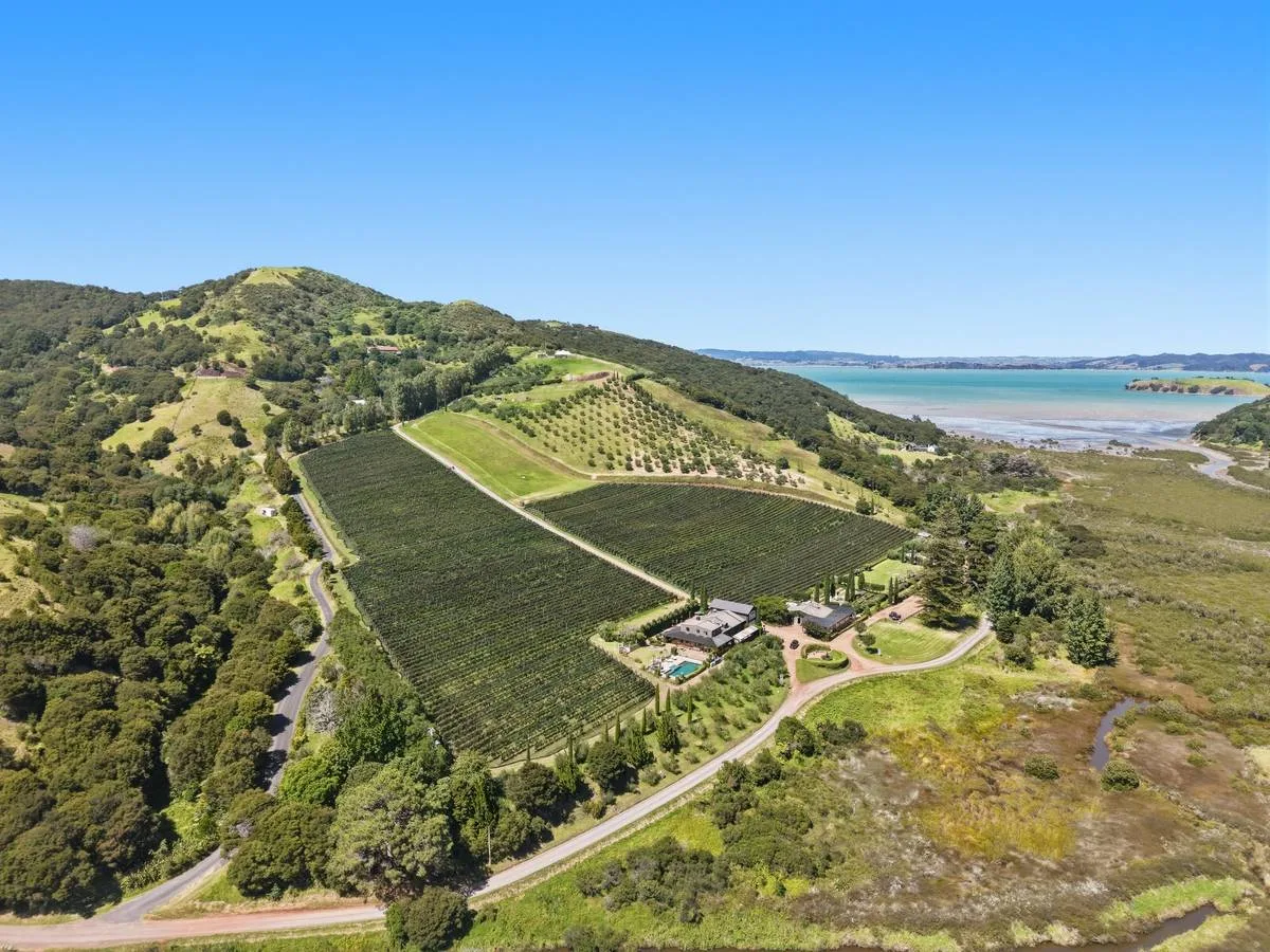 Vineyard to coast, Wide land context